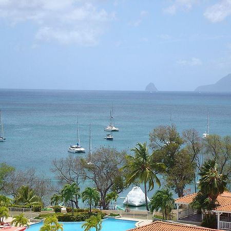 Palm'Studio Anse de Caritan Sainte-Anne Exterior foto