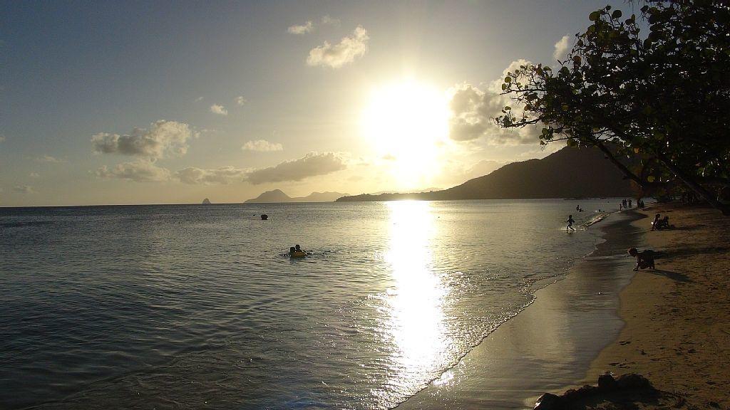 Palm'Studio Anse de Caritan Sainte-Anne Exterior foto
